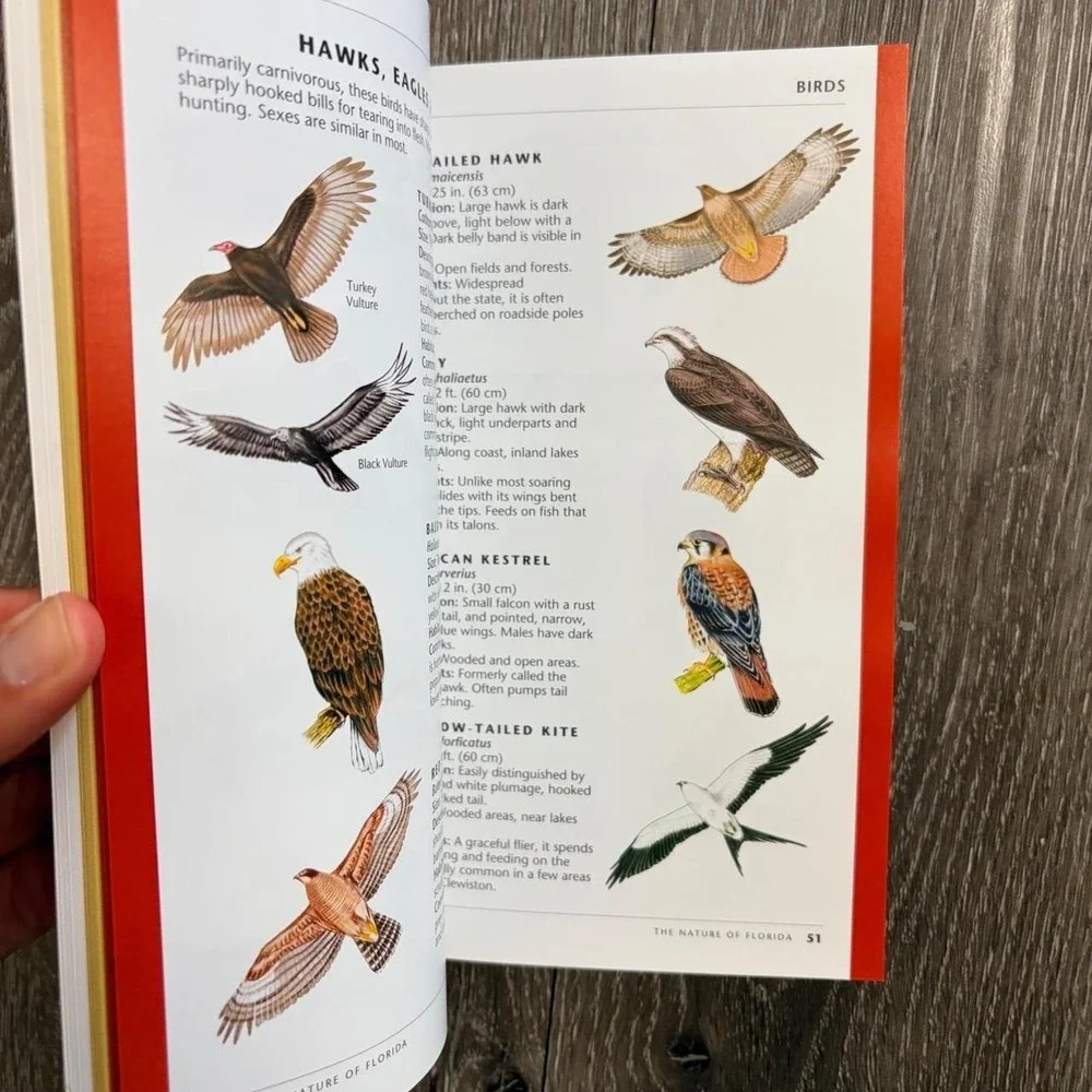 The Nature of Florida Waterford Press Field Guide Wildlife Plants Illustrations
